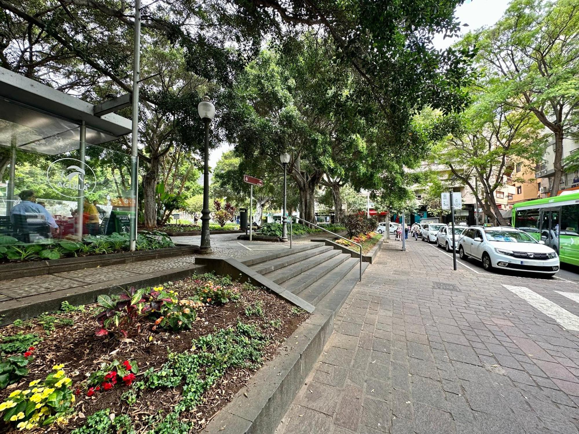 Sabino Street Santa Cruz de Tenerife